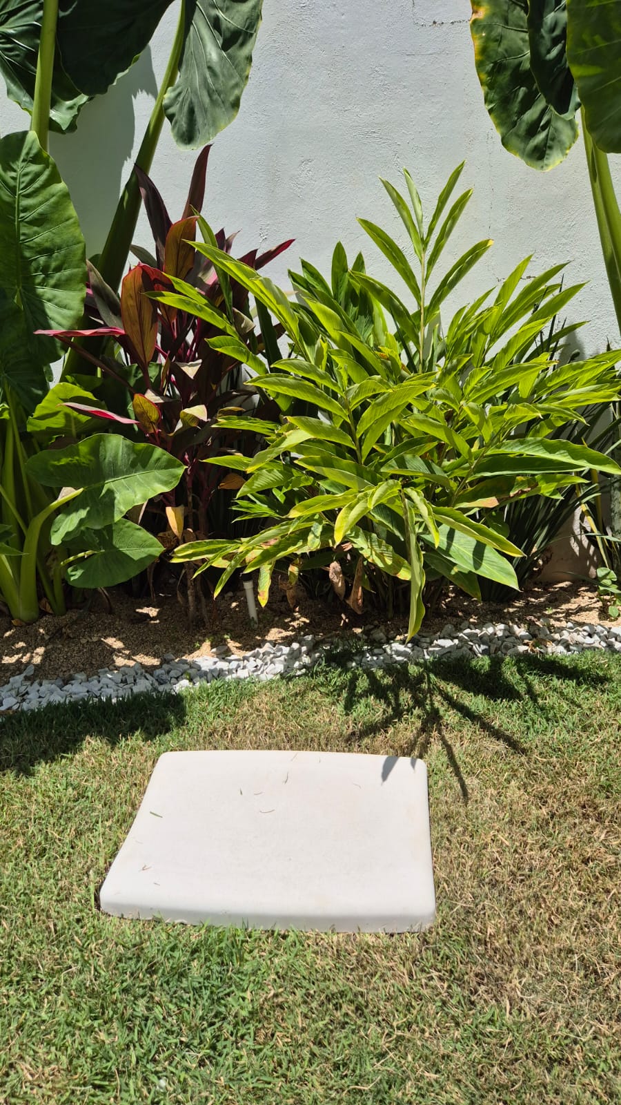 Huella de cemento blanco Rect  33 x 53