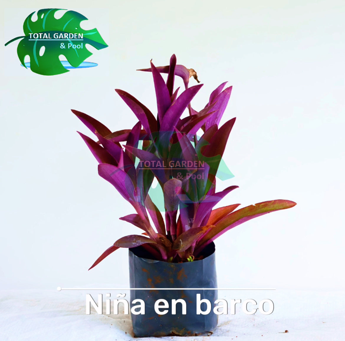 Niña en barco