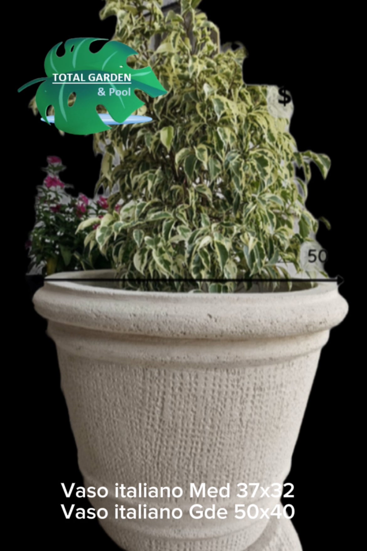 Vaso italiano grande