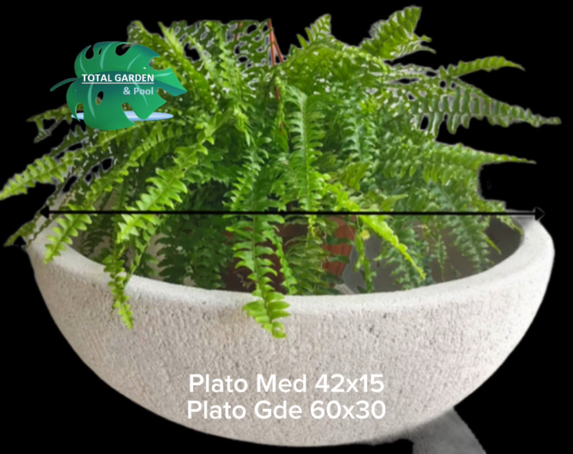 Maceta plato grande