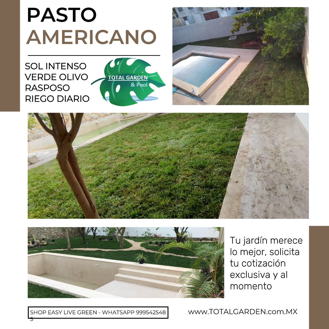 Pasto americano2 con instalación