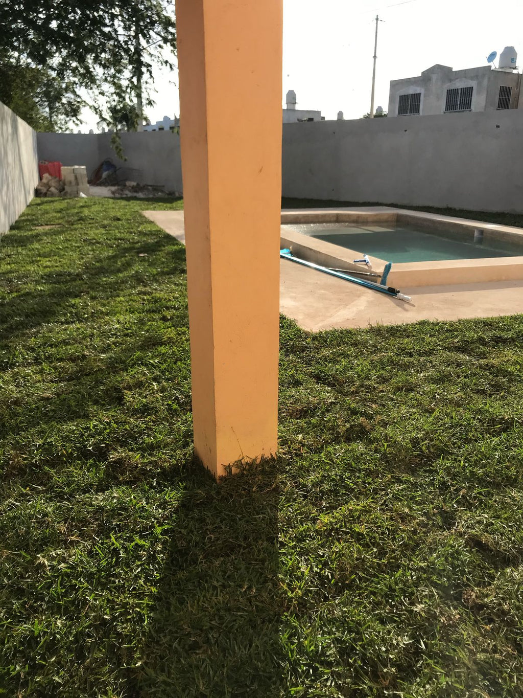 Pasto americano3