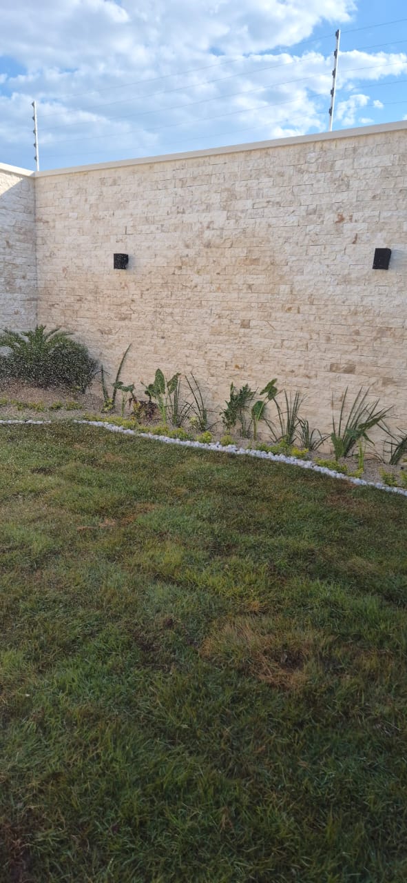 Pasto Zoyzia2