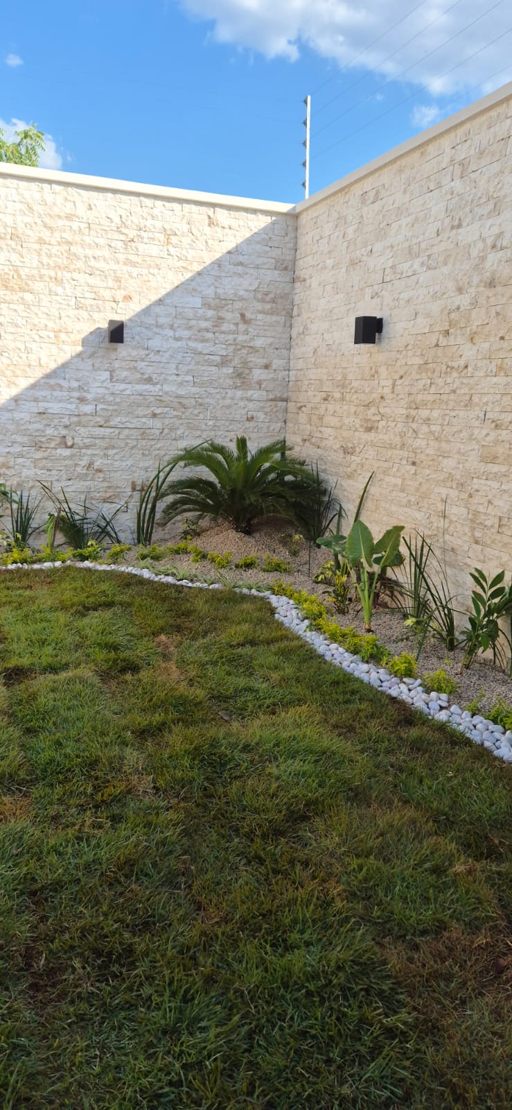 Pasto Zoyzia2