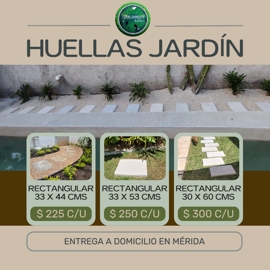 Huella de 33 x 44 Rectangular cemento blanco