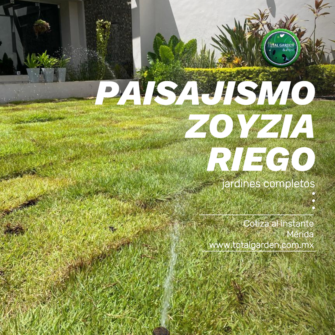 Pasto zoyzia 3 con instalación