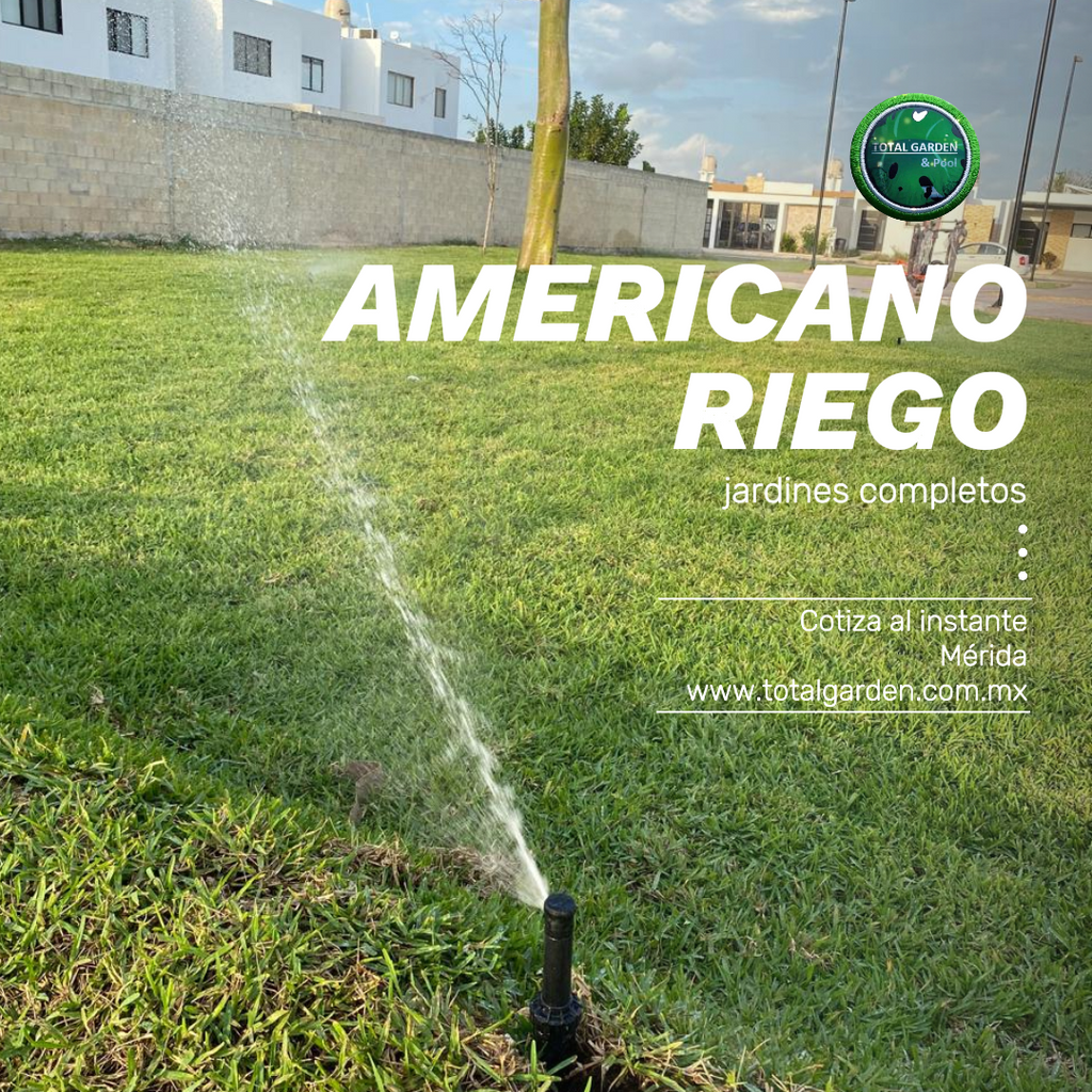Pasto americano1 con instalación