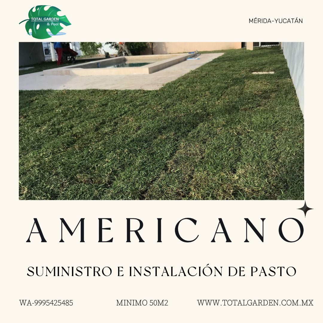 Pasto americano4 con instalación