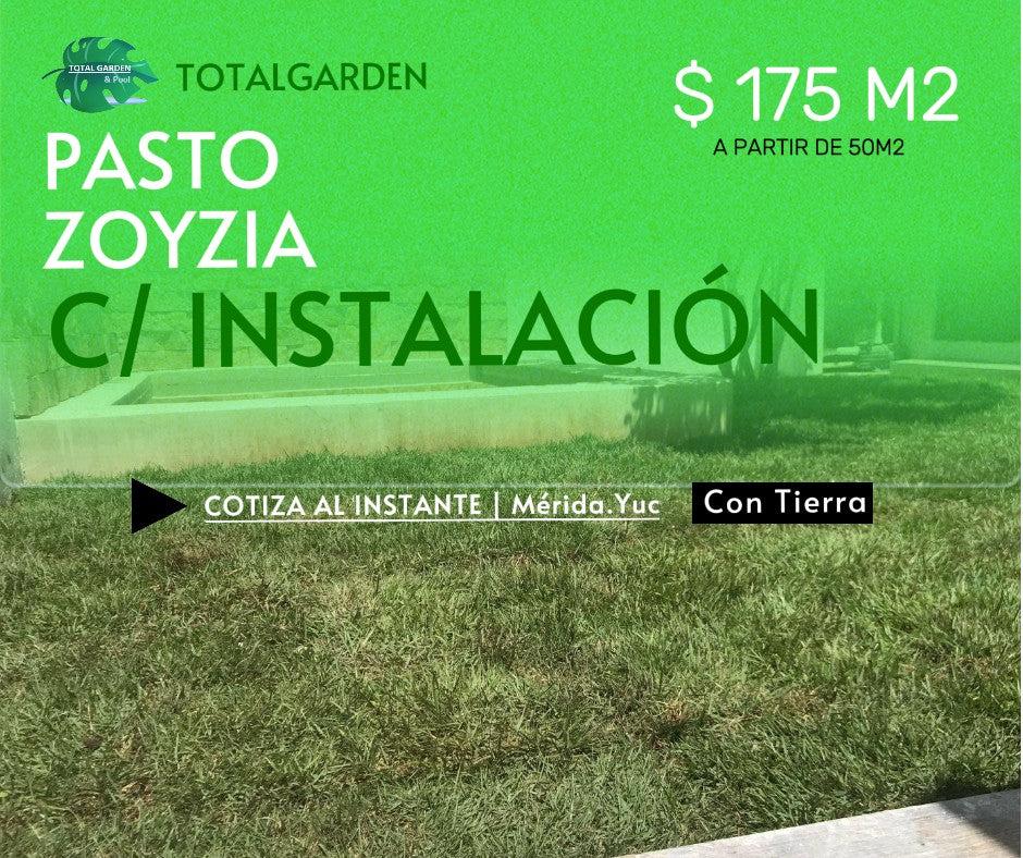 Pasto zoyzia 3 con instalación