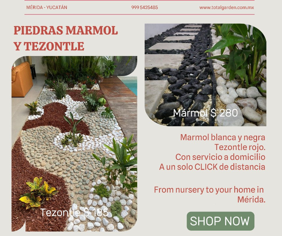 Tezontle negro