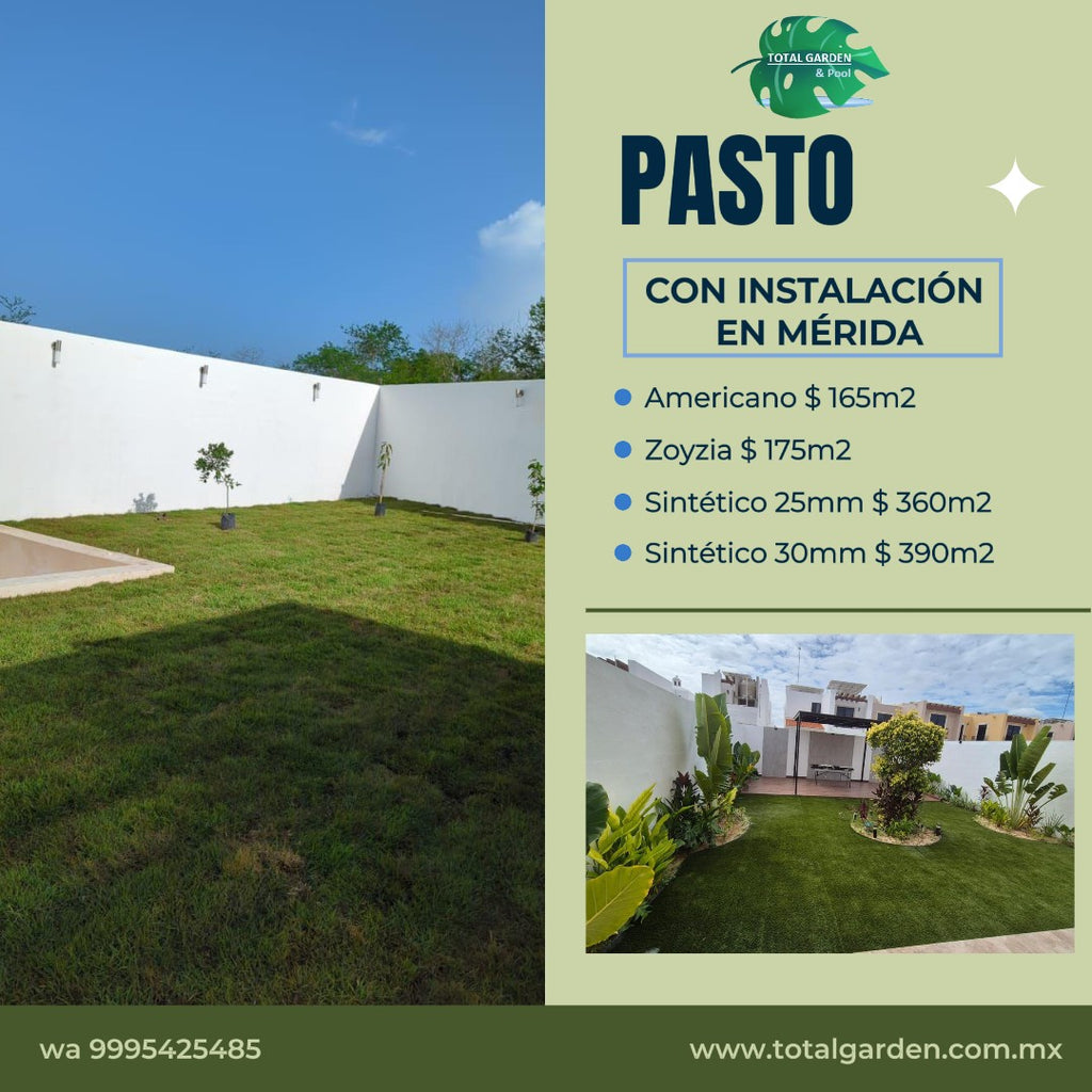 Pasto americano3 con instalación