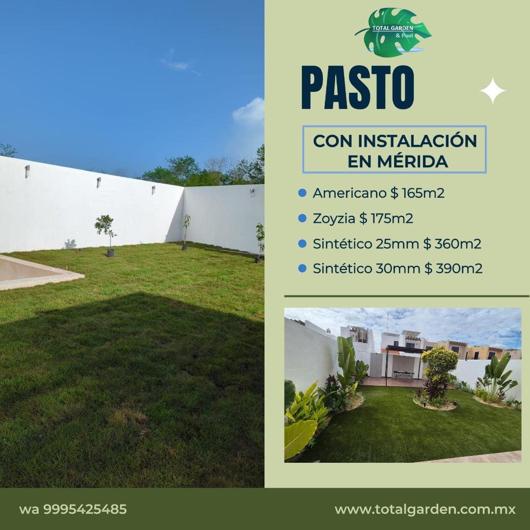 Pasto americano3 con instalación