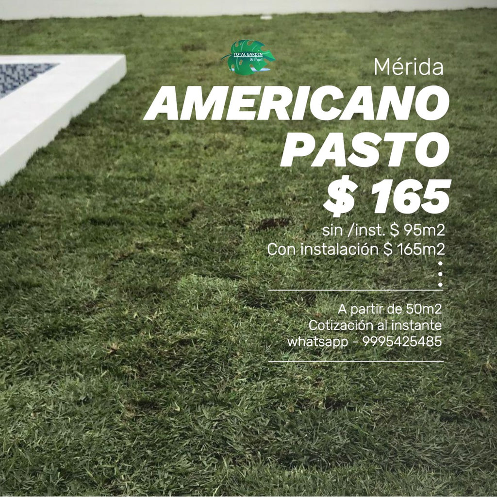 Pasto americano1 con instalación