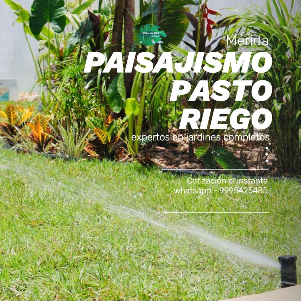 Paisajismo