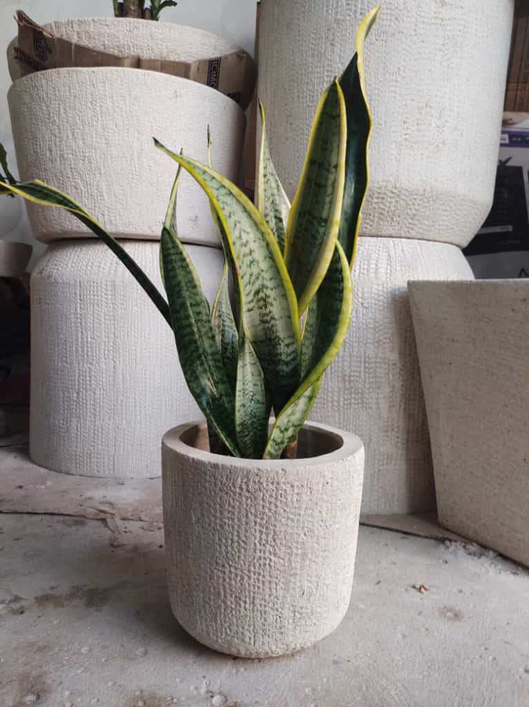 Maceta Vaso mini 20 x 21