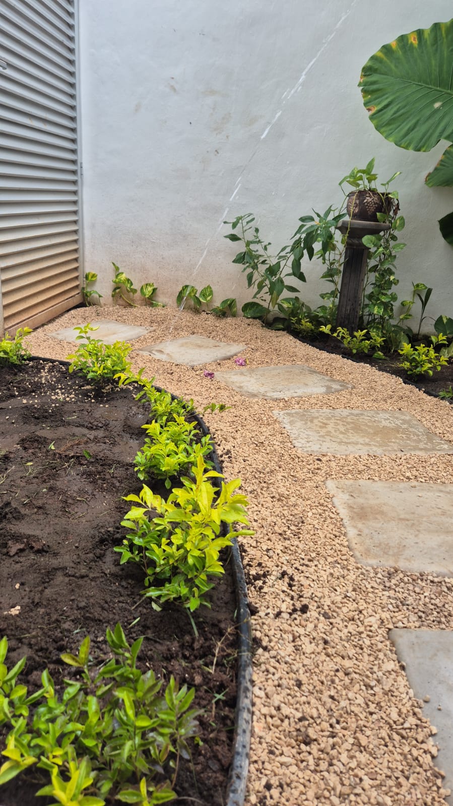 Huella de 33 x 44 Rectangular cemento blanco