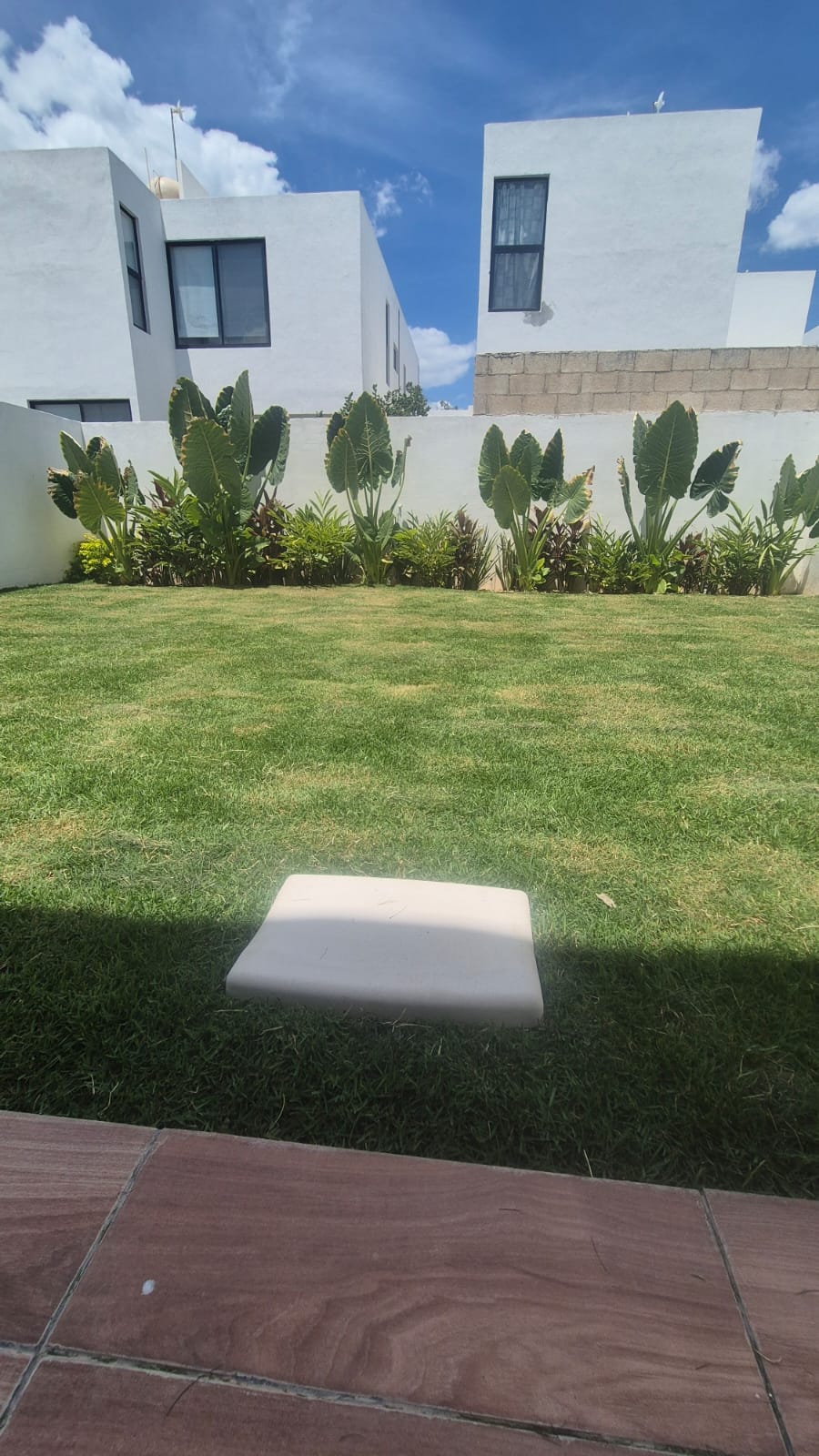 Huella de cemento blanco Rect  33 x 53
